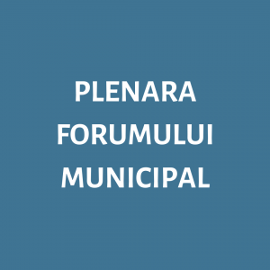 PLENARA FORUMULUI MUNICIPAL