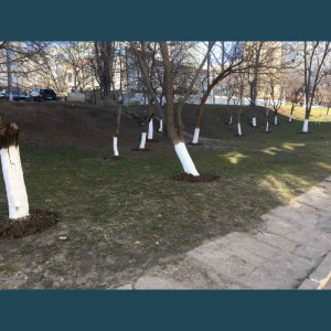 A fost aprobat Planul de acțiuni privind salubrizarea și amenajarea teritoriului școlii în perioada 01.03.21 -30.04.2021