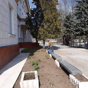 Un arbore pentru dăinuirea noastră
