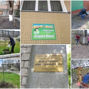 Înverzirea plaiului – 2021!