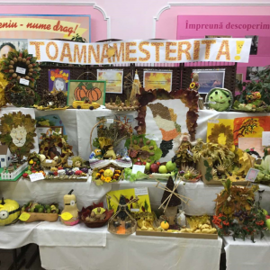 Activitatea – ”Toamna de Aur”