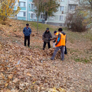 Campania de salubrizare de toamnă pe teritoriul Școala primară nr. 83, str. N. M. Spătaru, 13/3!