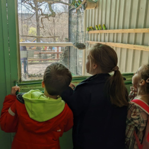 ✅ Lecții interactive pentru copii, la Grădina Zoologică din Chișinău!