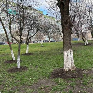 Salubrizare de primăvară