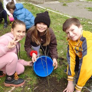 Plantarea arborilor și arbuștilor
